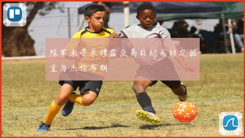 绿军未寻求穆雷交易目标或锁定掘金与杰伦布朗