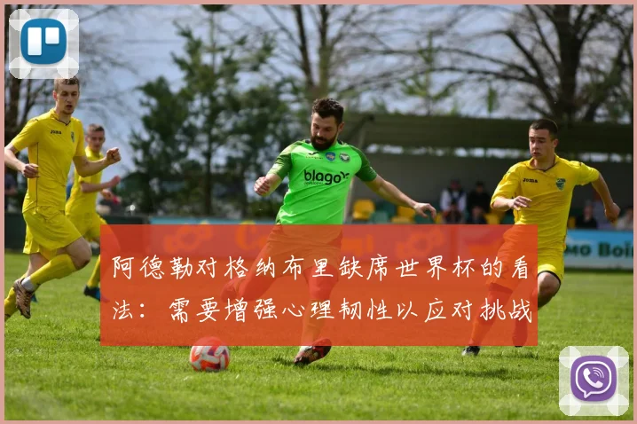 阿德勒对格纳布里缺席世界杯的看法：需要增强心理韧性以应对挑战