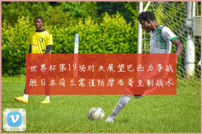 世界杯第19场对决展望巴西力争战胜日本荷兰需谨防摩洛哥克制战术